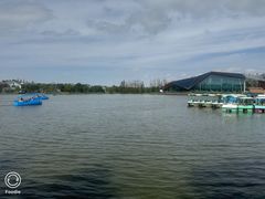 -上海长兴岛郊野公园