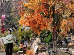 -HERRE·FARM 赫尔露营农场·团建聚会包场