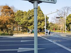 -八大关景区