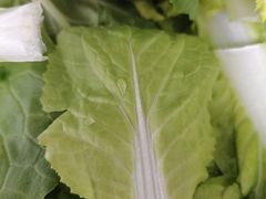 -大龙燚火锅(春熙店)