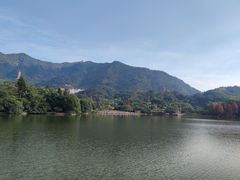 -深圳仙湖植物园