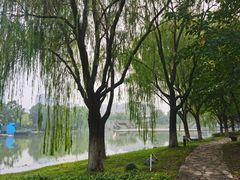 -白塘生态植物园