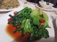 生菜菜心双拼-北海渔村酒楼·粤菜海鲜点心(新华店)
