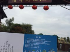 -泗洪洪泽湖湿地景区