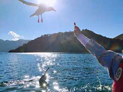 -丽江泸沽湖景区