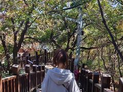 -狼牙山风景区