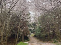 -天河潭旅游度假区