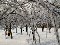 -北京亚布洛尼朝阳公园滑雪场