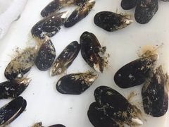 -阿杰臻选海鲜饭店(普陀山店)