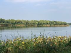 -如皋市龙游湖欢乐世界