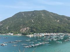 -南丫岛