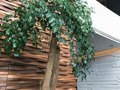 -天津海河悦榕庄·Lobby Lounge大堂吧