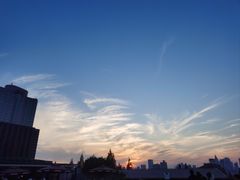 -南京维景国际大酒店(南京博物院店)