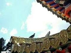 -达仓郎木寺院