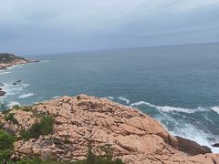 -广东惠东海龟国家级自然保护区