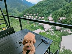 -北京山里寒舍度假酒店