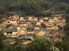 -杨家堂村