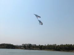 -梧桐栖·养生·spa