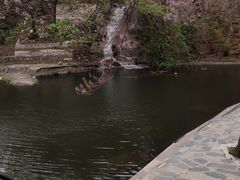 -京东石林峡风景区