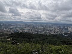 -长虫山生态公园风景林