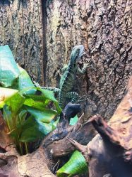 -酷嗒动物文化乐园(cutezoo西溪乐天城店)