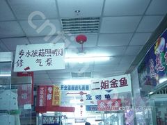 -宝鸡东道花鸟鱼虫市场(吉利花园商场店)