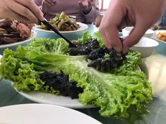 -兴旺渔家