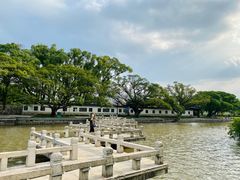 -江心屿景区