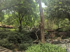 -英德宝晶宫天鹅湖茶语温泉