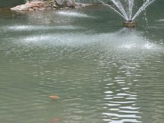 -成都市活水公园