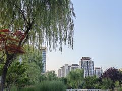 -木塔寺遗址生态公园