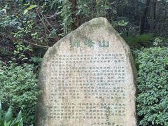 -龙井村