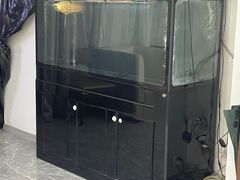 -翟韵茶咖棋牌