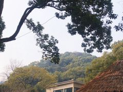 -天怡·鱼工厂(梅溪湖店)