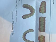 -Dr.Z dental仁康种植矫正中心