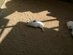 -川外川(星海店)