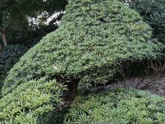 -中山公园
