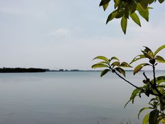 -漕湖湿地公园