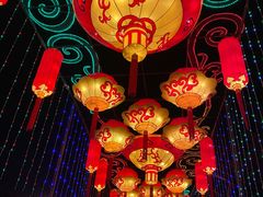 -武汉园博园(武汉自然博物馆)