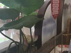 -新辣道鱼火锅(上地华联店)