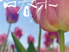 -西昌邛海湿地
