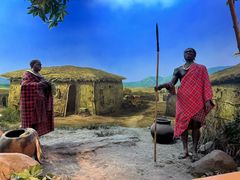 -国家自然博物馆