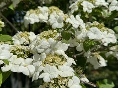 -昆山城市生态森林公园