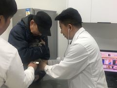 -萌兽医馆·绝育·24小时内科·宠物医院(德胜店)