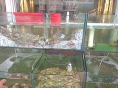 -四海鲜渔家菜(黄金海岸店)