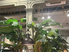 -星叶·东南亚料理(温州万象城店)