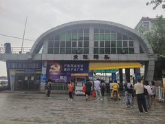 -长洲岛