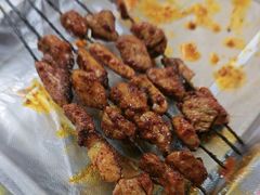 -尕胡才炕锅烤羊肉馆(八一路店)