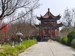 -开福禅寺