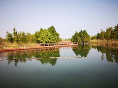 -贡湖湾湿地公园